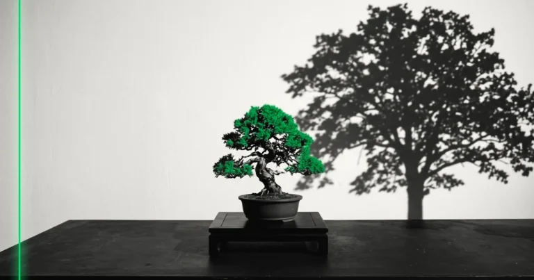 Un petit bonsaï sur un socle, l'ombre immense d'un grand arbre projetée sur le mur derrière lui.
